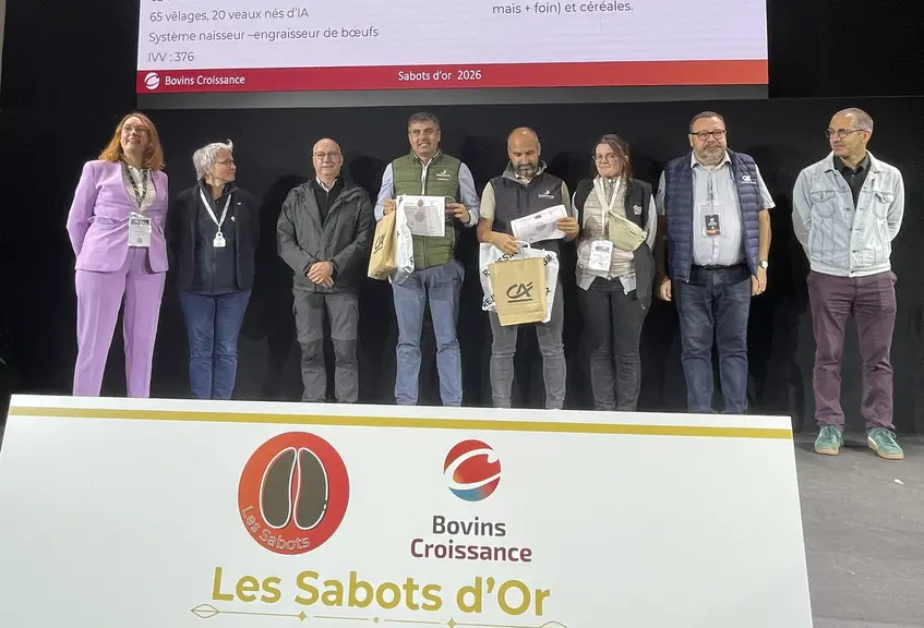 sabot d'or 2026