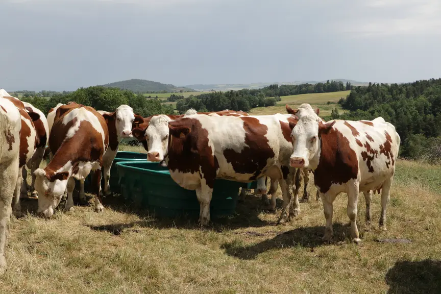 New Government Support Measures for Drought-Hit Farmers in Haute-Loire