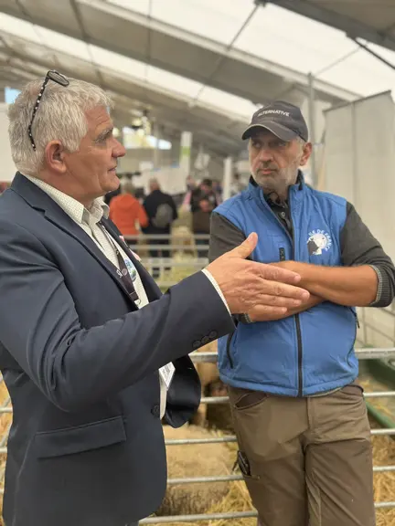Rencontre avec les éleveurs ovins. Race Île-de-France.