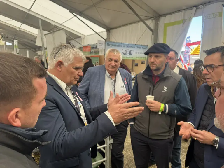Rencontre avec les éleveurs ovins. Race Charollais.