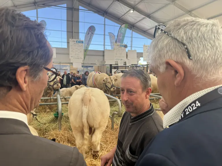 Rencontre avec des éleveurs bovins viande.