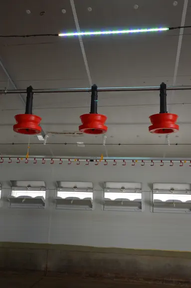 <em class="placeholder">Célestin Foret a fait le choix de LED multicolores et d’une ventilation transversale.</em>