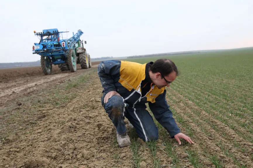 Agriculteur contrôlant ses semis avant un apport d'azote liquide sur une parcelle d'orge avec un pulvérisateur Berthoud. Contrôle de la qual