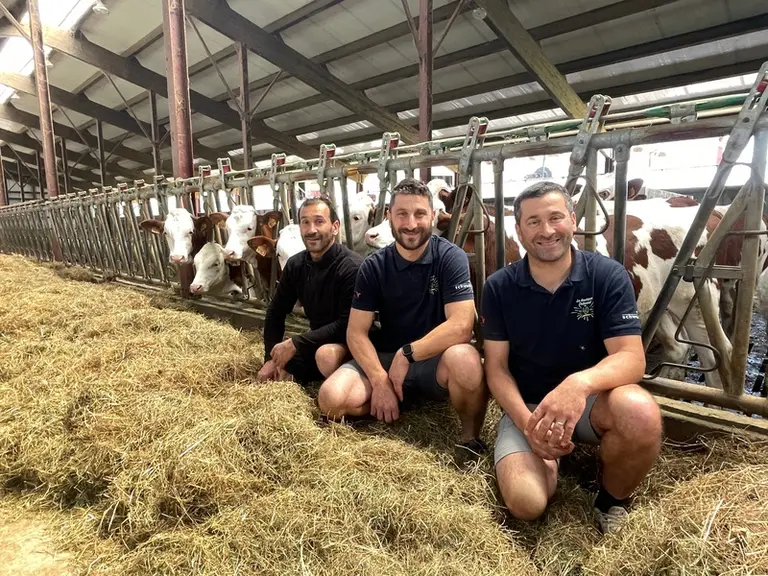 les trois associés du Gaec du Tilleret dans le Jura
