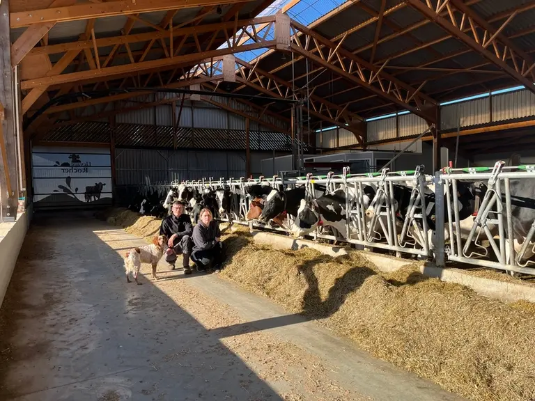 vaches aux cornadise