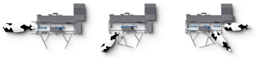 <em class="placeholder">Modes d'entrée et de sortie des vaches laitières de la stalle  du robot de traite Merlin 2+ de Fullwood Joz</em>