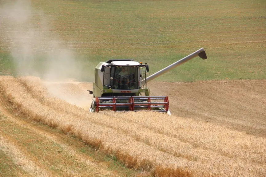 Moisson céréale à paille