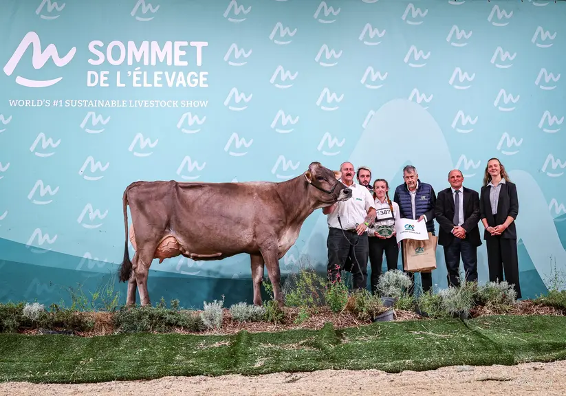 Schiapa grande championne du concours brune