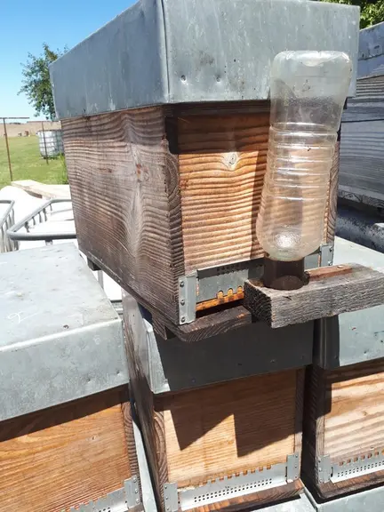 Un nourrissement rapide, en moins de 20 minutes on nourrit 100 colonies.