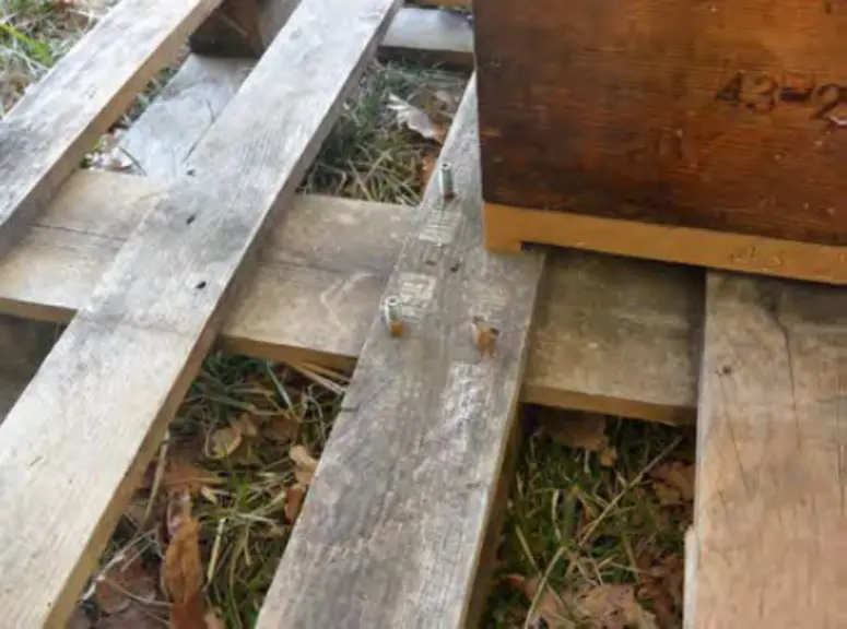 Certains ont opté pour une fixation des ruches à leurs supports, ce qui peut décourager un vol opportuniste.