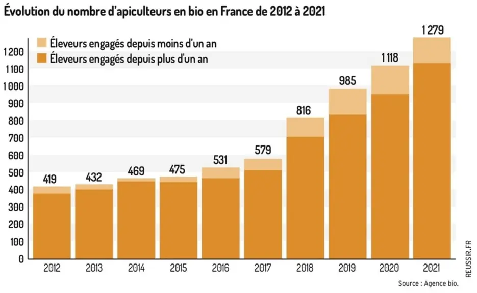 L’apiculture biologique en quête de développement