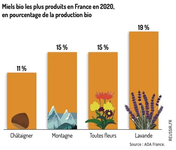 L’apiculture biologique en quête de développement