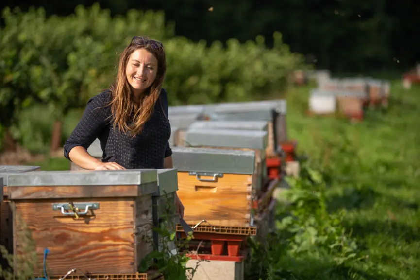 Mélanie Boitrel, les ruchers de Normandie