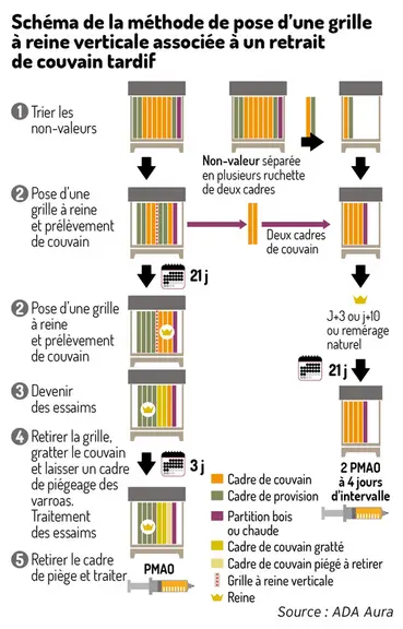 Poser une grille à reine verticale pour lutter contre le varroa en été