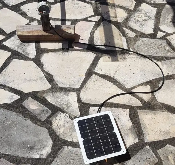 Une harpe pour diminuer la pression du frelon