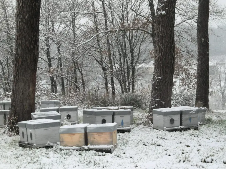 Les visites de printemps pour bien débuter sa saison