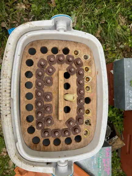 Une glacière pour transporter les cellules