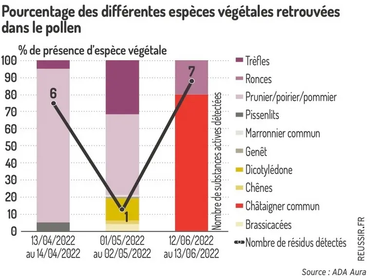 Origine botanique et nombre de résidus détectés dans les trois échantillons de pollens collectés au cours de la saison sur le