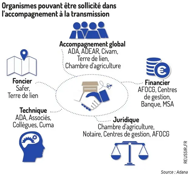 Les structures mobilisables pour vous aider dans votre transmission
