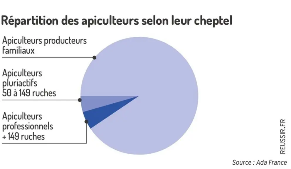 Répartition des apiculteurs selon leur cheptel