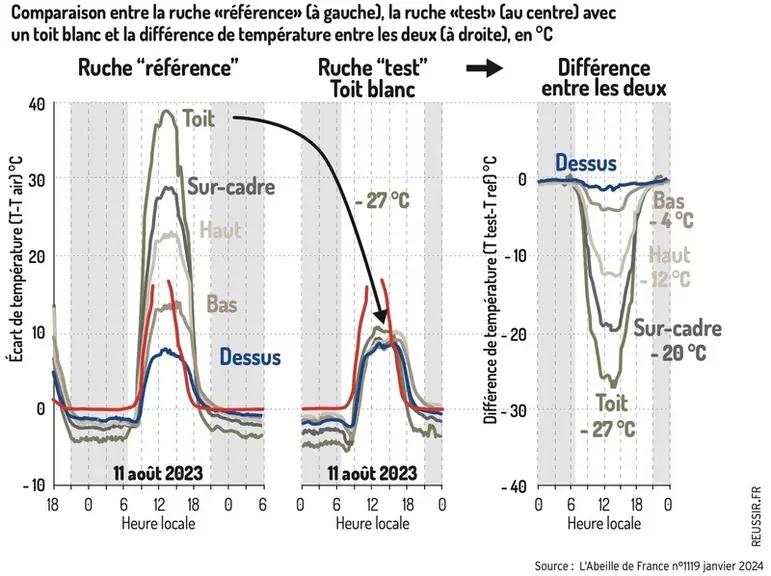 Peindre ses toits de ruches en blanc : une solution contre les fortes chaleurs ?