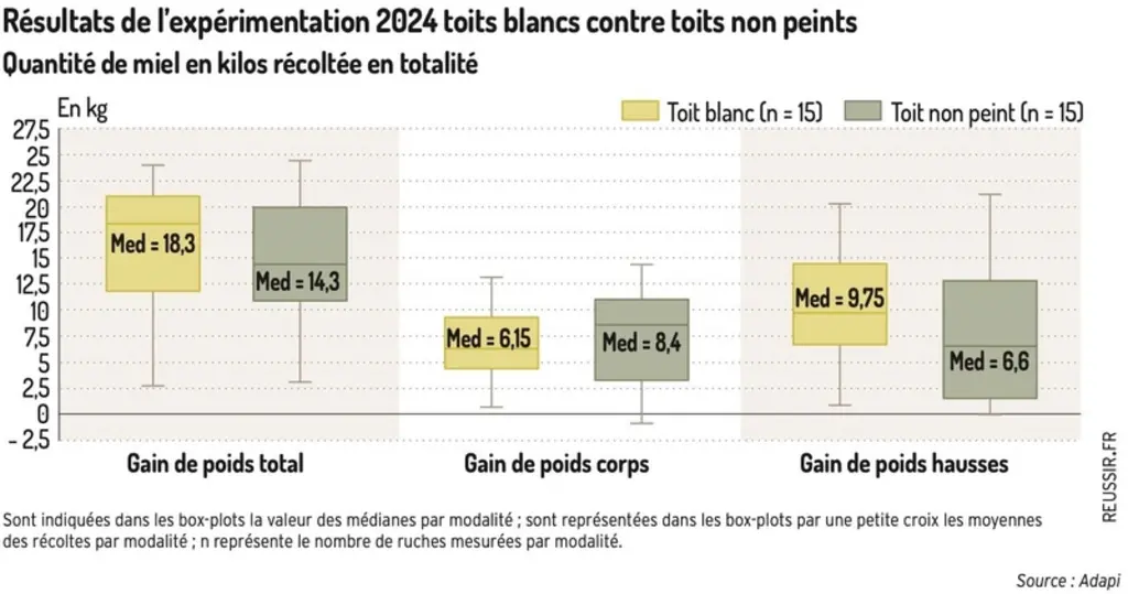 Peindre ses toits de ruches en blanc : une solution contre les fortes chaleurs ?