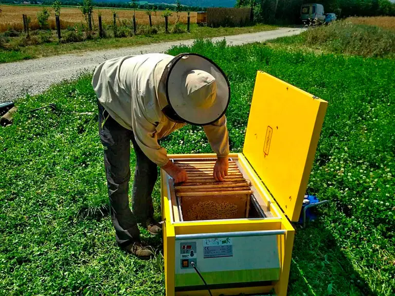 Le caisson thermique Varroa controller est le plus avancé dans son développement technologique et son emploi en plein champ. <