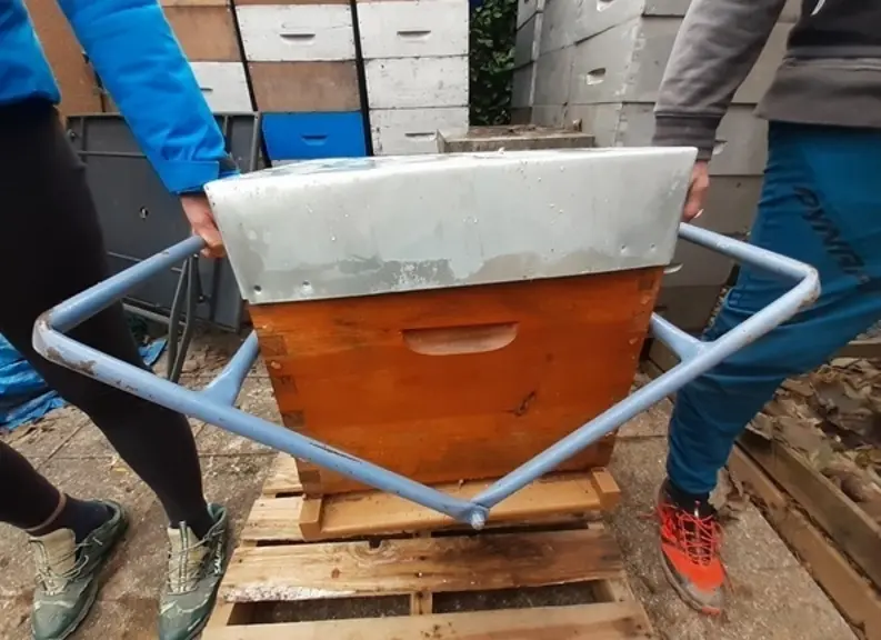 porte ruche