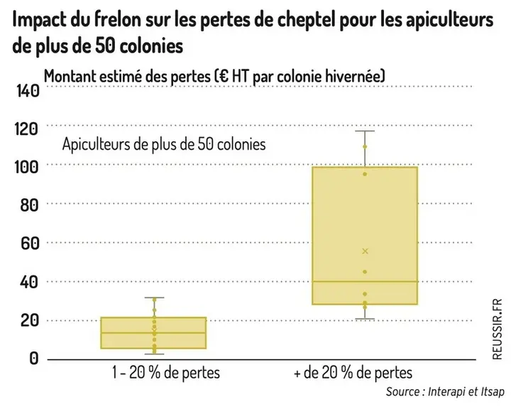 Le frelon : des charges supplémentaires pour les exploitations françaises