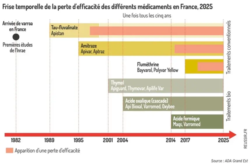 Frise temporelle de la perte d'efficacité des différents médicaments en France, 2025.