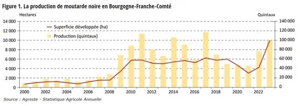 Évolution de la production de moutarde noire en Bourgogne-Franche-Comté