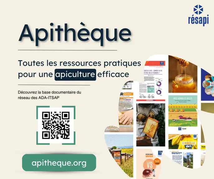 Apithèque, un outil Résapi au service des apiculteurs