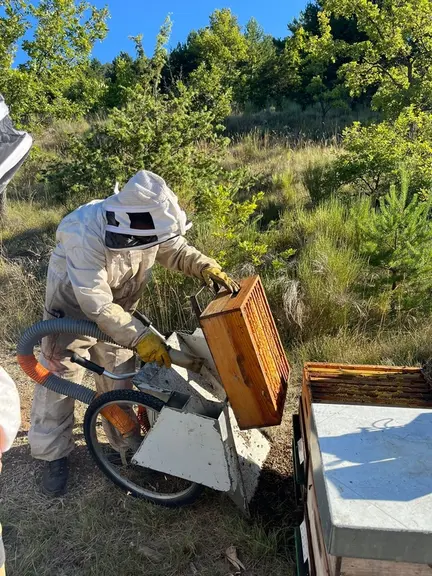 Un souffleur sur chariot pour une récolte plus sereine