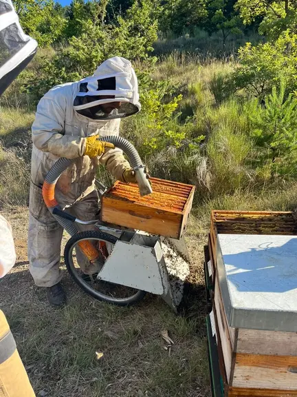 Un souffleur sur chariot pour une récolte plus sereine