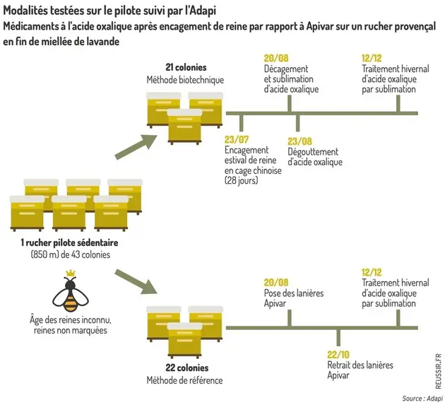 <em class="placeholder">Modalités testées sur le pilote suivi par l'Adapi : médicaments à l’acide oxalique après encagement de reine par rapport Apivar sur un rucher provençal en fin de ...</em>