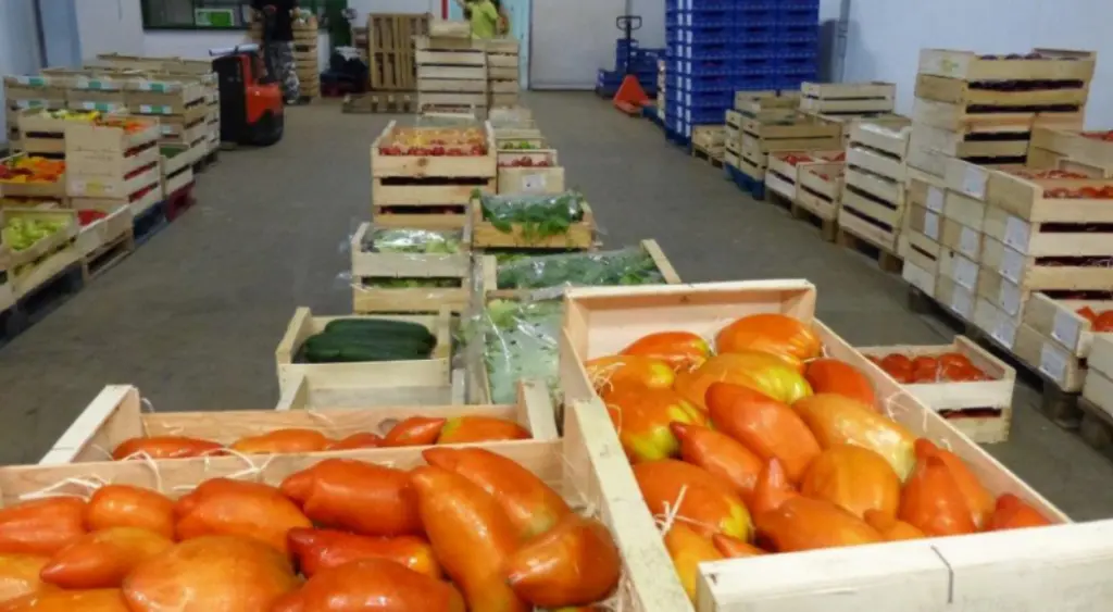 La société coopérative d'intérêt collectif voudrait mettre en place une planification plus efficace de ses besoins. © Loc'halle bio