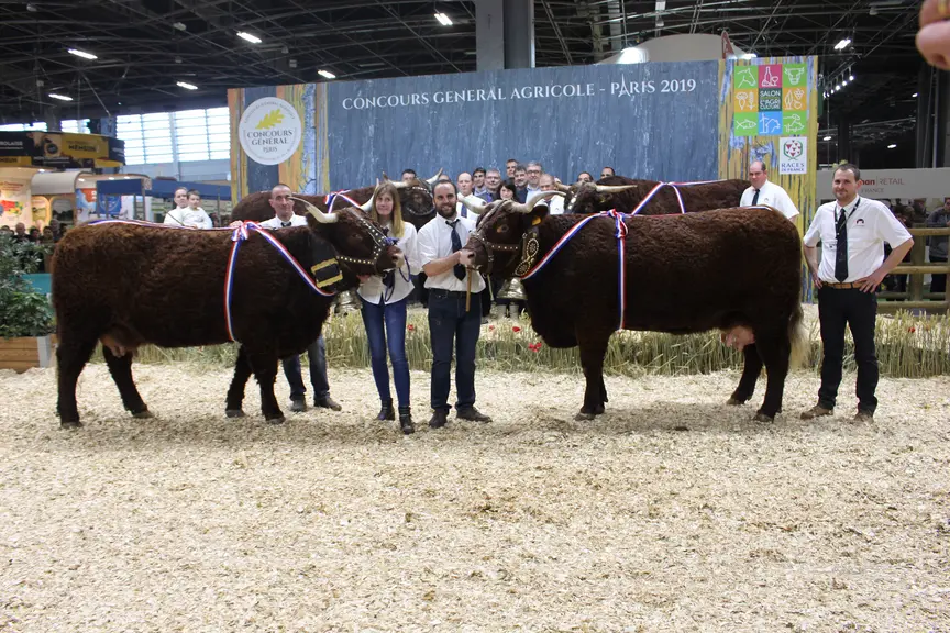 concours Salers Paris 2019