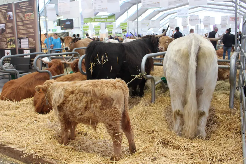 sommet de l'élevage 2019