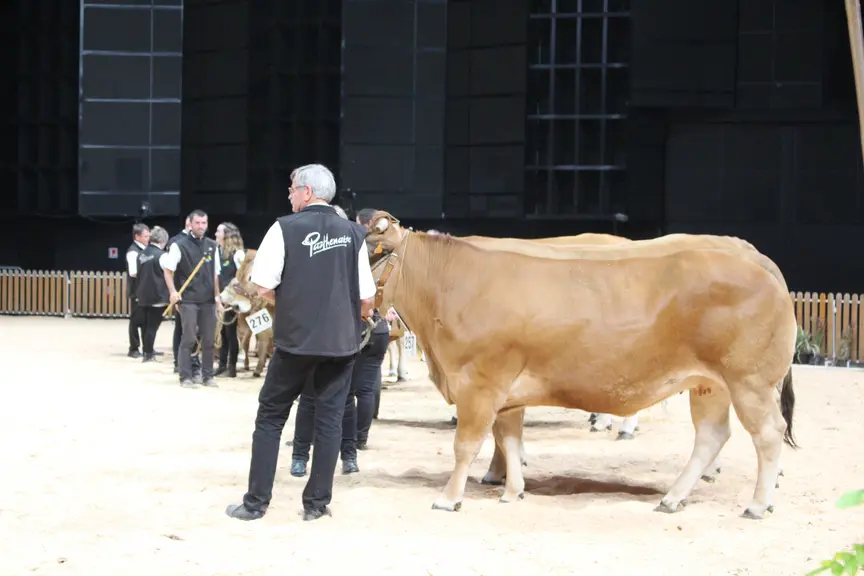 sommet elevage 2019