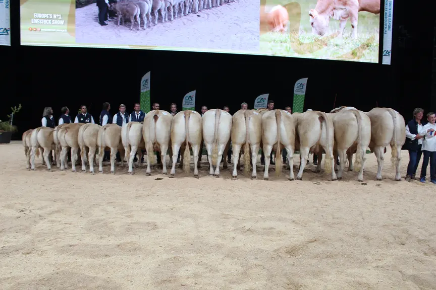 sommet de l'élevage 2019