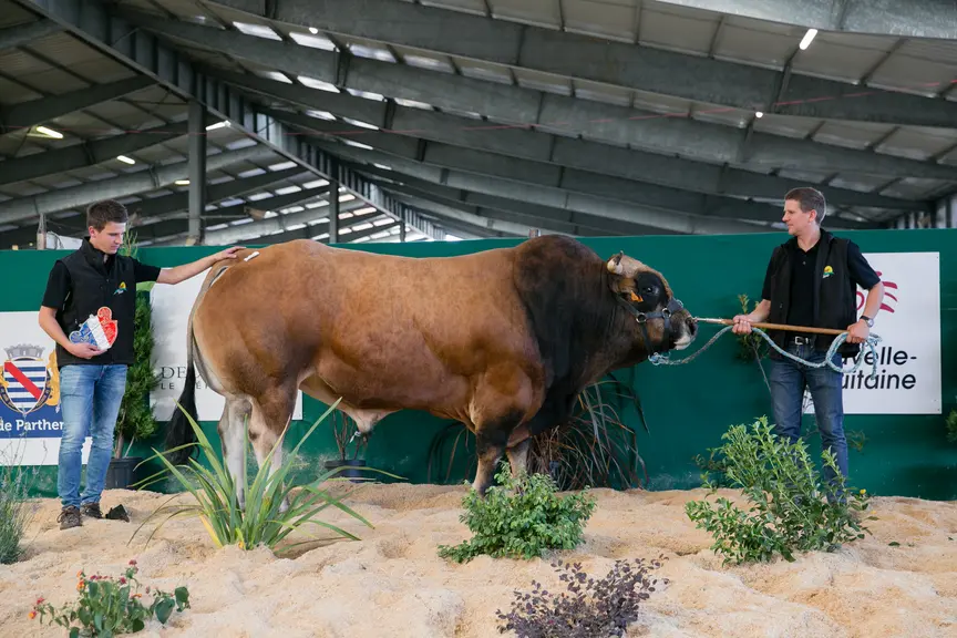 concours national parthenaise 2019