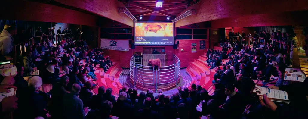vente de Lanaud mars 2020
