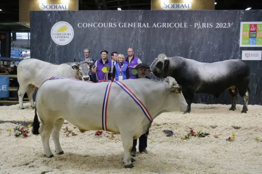 Photo des champions du concours de reproducteurs et d'animaux gras au Salon de l'Agriculture 2023. Ils mettent en avant les deux casquettes du Groupe