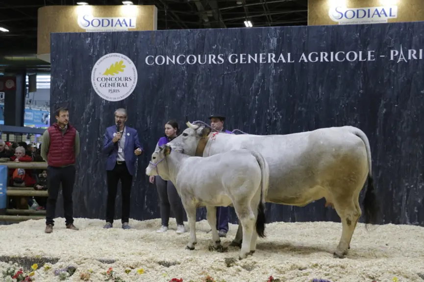 Mirabelle (du père Essentiel), appartenant à Jean-Jacques Raspaud (Ariège), a décroché la première place de la section des vaches suitées. Cette femel
