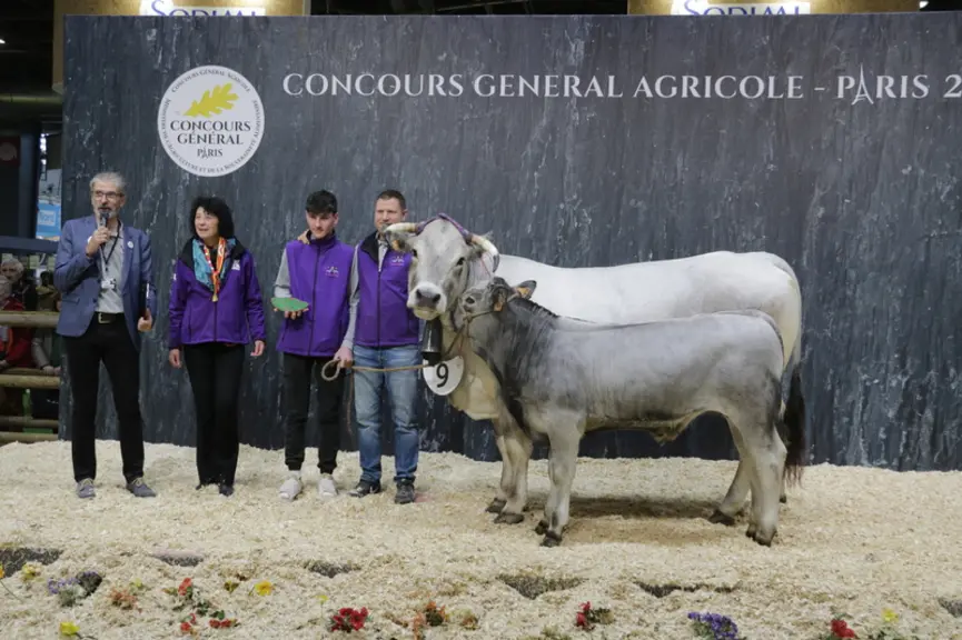 Occitane (du père Vengeur), issue du Gaec de Poy (Haute-Garonne), a obtenu la première place de la section des vaches jeunes suitées. Cette femelle de