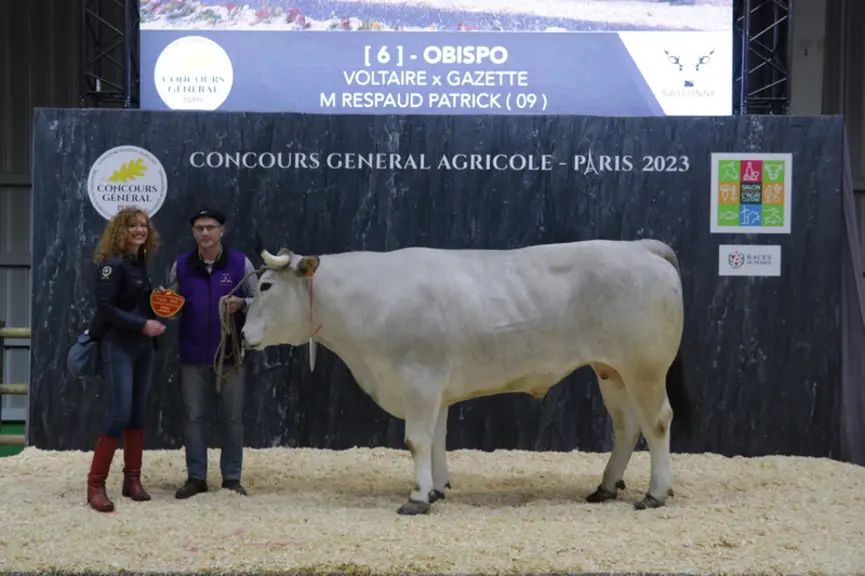 Obispo (Voltaire x Gazette), issu de l'élevage de Patrick Respaud dans l'Ariège se hisse à la seconde place.