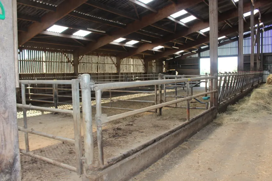 Un bâtiment logeant 112 vaches suitées a été construit en 2006. Toutes les vaches y passent, les vêlages étant répartis en deux périodes : 80 vêlages