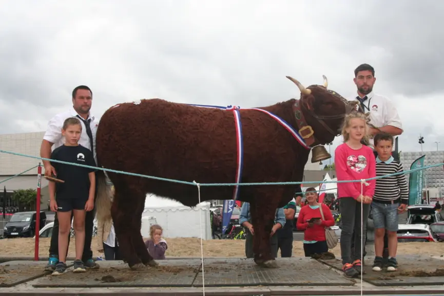 Championne femelle jeune : Nelly au Gaec d’Enroussou (Cantal) © F. d'Alteroche