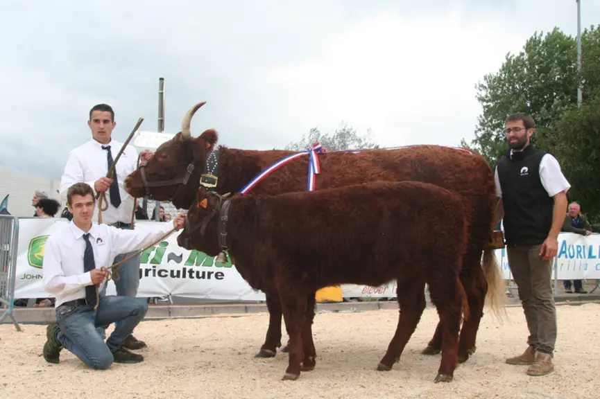 Championne femelle adulte : Hyacinthe au Gaec Yves Fourtet et Compagnie (Corrèze) © F. d'Alteroche