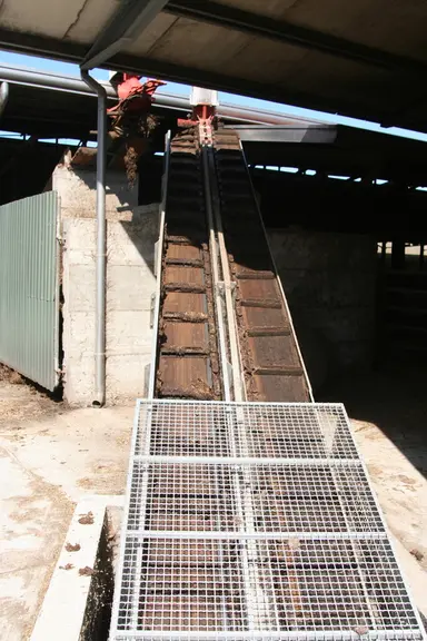 Le fumier circule à la sortie des bâtiments grâce à des chaînes de curage lesquelles le convoient jusqu’à l’installation de méthanisation.  © F. d'Alt